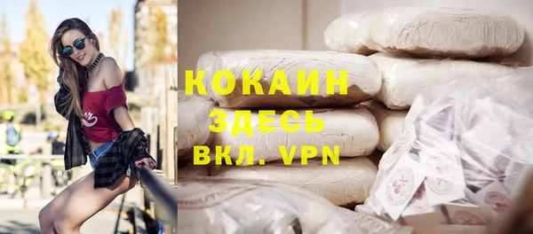 индика Сафоново