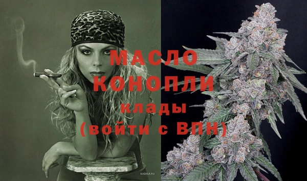 индика Сафоново
