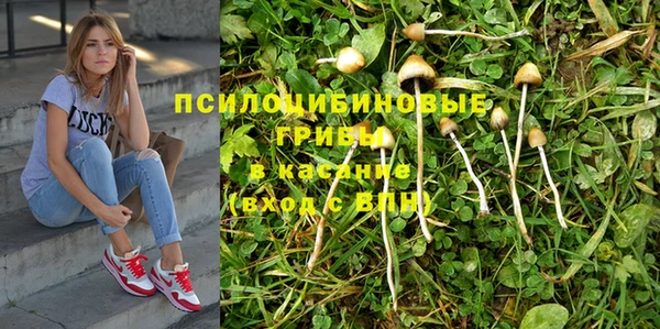 spice Балахна