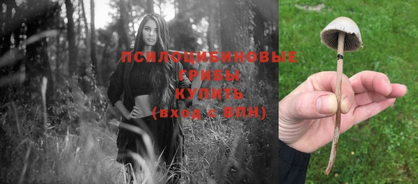 бутират Беломорск