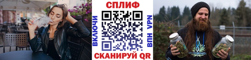 Конопля гибрид  Щёкино 